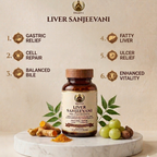 DHANVI Liver Sanjeevani – Advanced Liver Wellness Formula (60 Capsules)