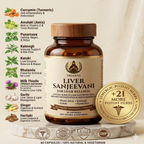 DHANVI Liver Sanjeevani – Advanced Liver Wellness Formula (60 Capsules)